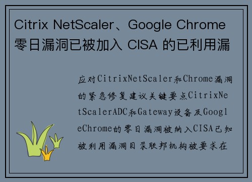 Citrix NetScaler、Google Chrome 零日漏洞已被加入 CISA 的已利用漏